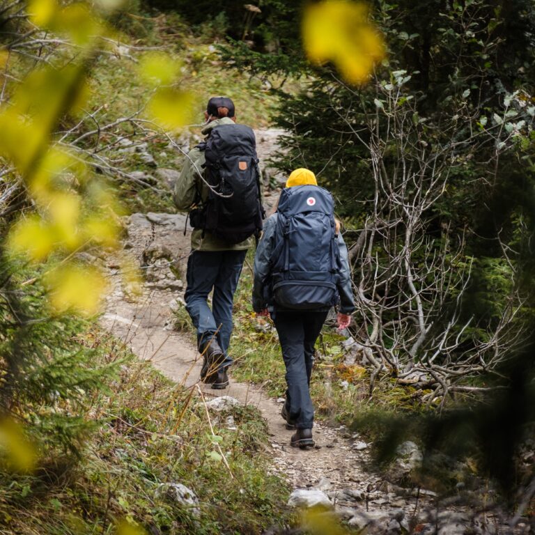 Vue de dos de deux randonneurs marchant sur un sentier de terre en forêt avec des chaussures de hiking basses.