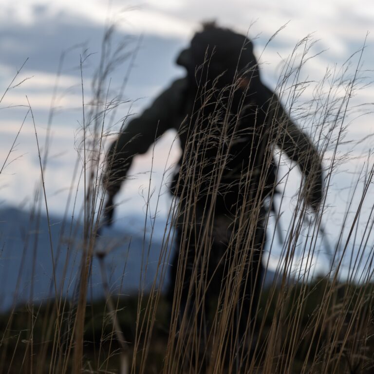 Silhouette d'un marcheur avec sac à dos progressant en montagne, aperçue en contre-jour derrière de hautes herbes sèches. chaussure trekking