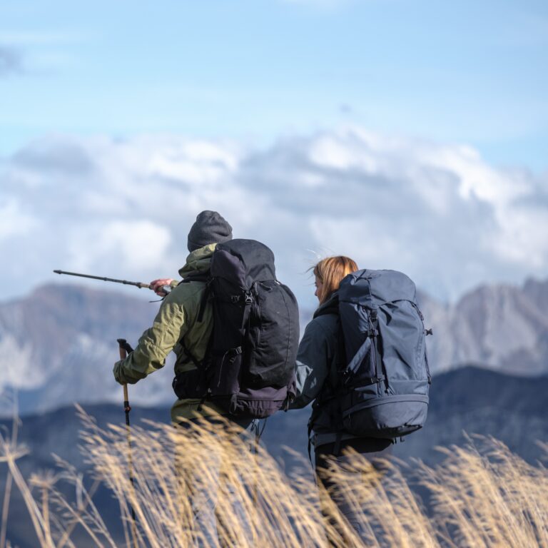 Un couple de randonneurs de dos avec sacs à dos observe les sommets alpins derrière de hautes herbes sèches en automne.